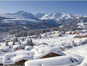 Ski village: Königsleiten-1
