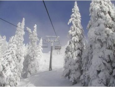 Ski village: Präbichl-1