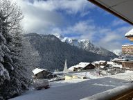 Chalet-apartment l'Alchimie-15