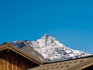 Chalet-apartment Gypaete with outdoor whirlpool-21