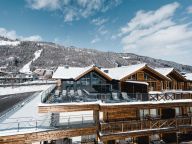 Chalet-apartment Das Neukirchen Type 1a-61