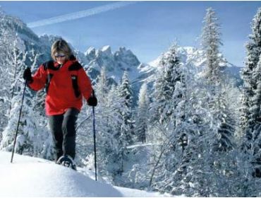 Ski village Charming Italian winter-sport village with several activities-5