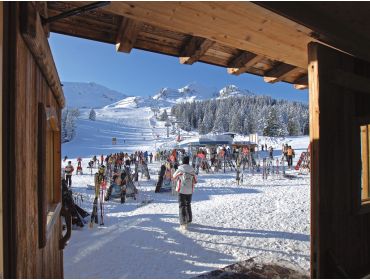 Ski village Quiet and centrally located village, nearby Kaltenbach-4