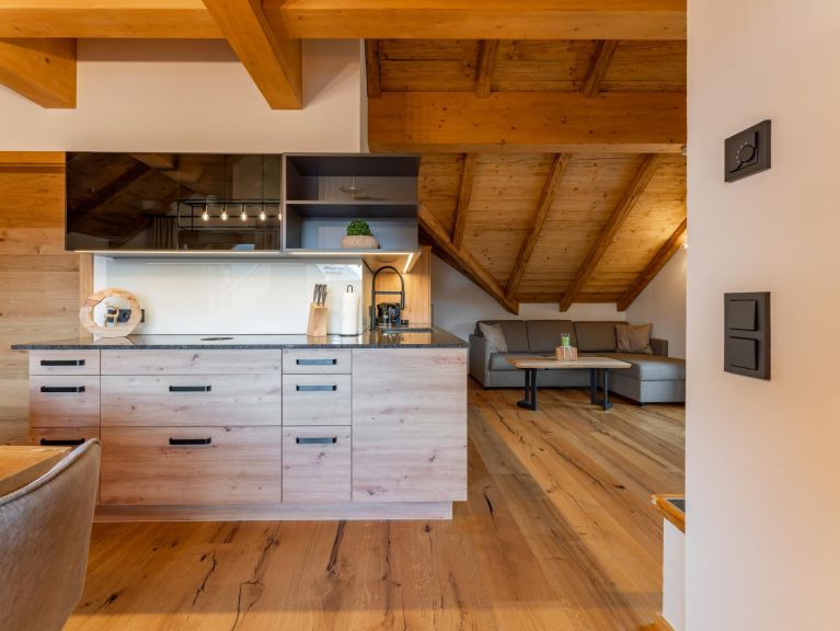 Apartment AlmApART 8-3 / Penthouse