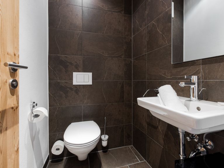 Chalet-apartment Wildkogelresorts Penthouse Type IIb