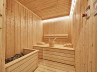Chalet-apartment AlpenParks Rehrenberg with private sauna, max 8 adults + 4 children-3