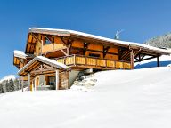 Chalet Les Frasses with private sauna and outdoor whirlpool-20