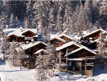 Ski village Winter sport village with atmosphere, plenty to do for snowboarders-4