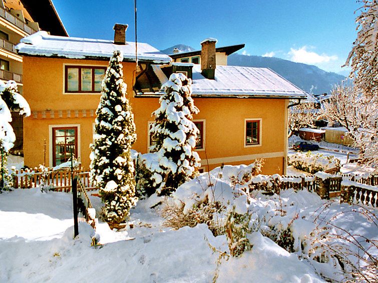 Apartment Steiner