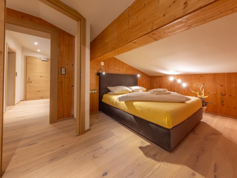 Chalet-apartment Alps Zillertal