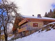 Chalet Petit Châtel with outdoor whirlpool-15