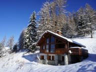 Chalet de Bellecôte Type 2, Polman Mansion with sauna-26