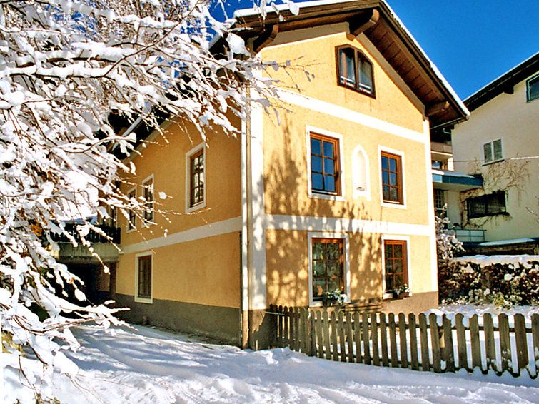 Apartment Steiner
