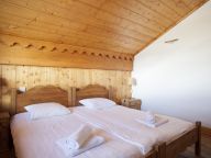 Chalet Le Hameau des Marmottes Combi Les Hameau des Marmottes 14p + 14p with sauna, located next to each other-36