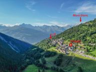 Chalet Perle des Alpes-14