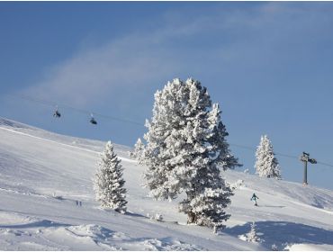 Ski village Modest and child-friendly winter sport village in the Zillertal-8