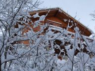 Chalet Le Clos du Pré with a family room-20