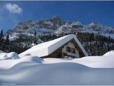 Ski village Cosy winter sport village; perfect for families with children-8