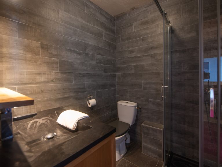 Apartment Les Chalets du Thorens