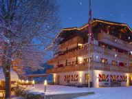 Chalet-apartment Landhof Type 1-21
