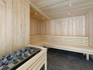 Apartment Club MMV Samoëns Village mountain view-21