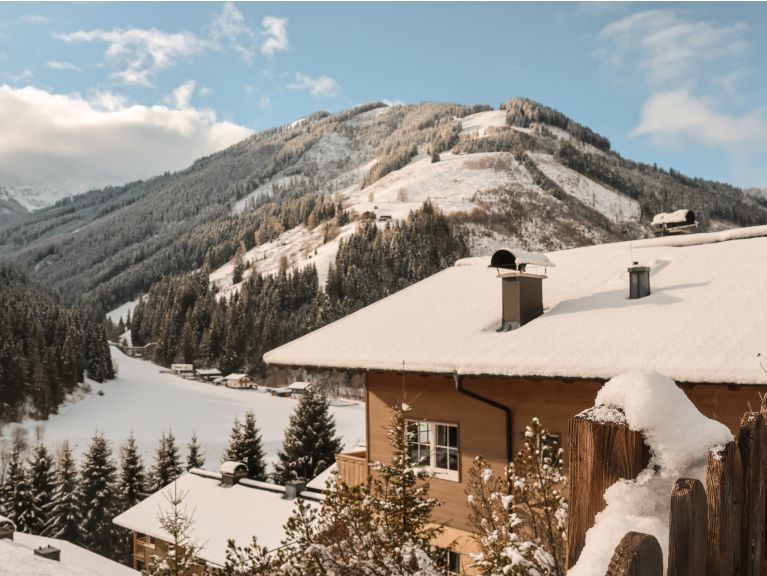 Chalet-apartment AlpenParks Rehrenberg Alpine