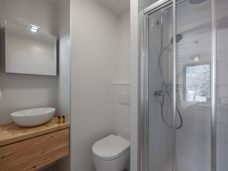 Chalet-apartment l'Alchimie
