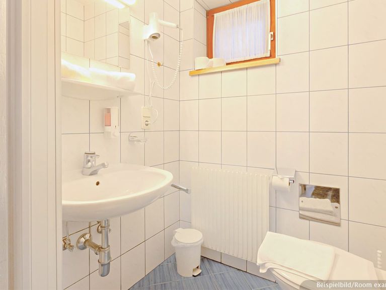 Apartment Edelweisshof