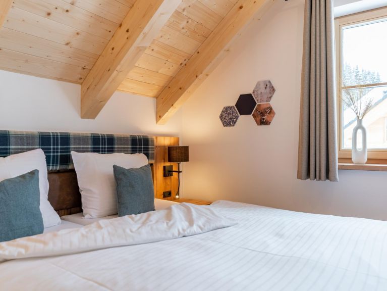 Chalet Riesneralm Alpenjoy Lodge