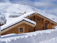 Chalet Leslie Alpen with sauna and whirlpool bath-27