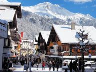Chalet Zoller catering included-19