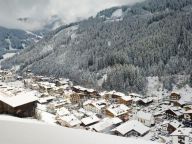 Apartment Residence Zillertal Type A1-8