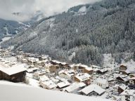 Apartment Residence Zillertal Type C3-17