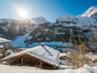 Chalet-apartment Eagle Lodge with whirlpool-18