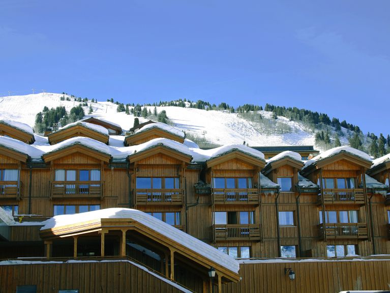 Apartment Les Chalets du Forum with cabin