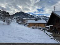 Chalet L'Orme-35