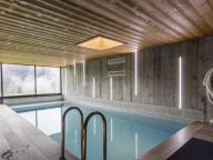 Chalet du Saix with private swimming pool-3