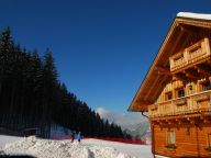 Chalet Almwelt Austria Jägerin-17