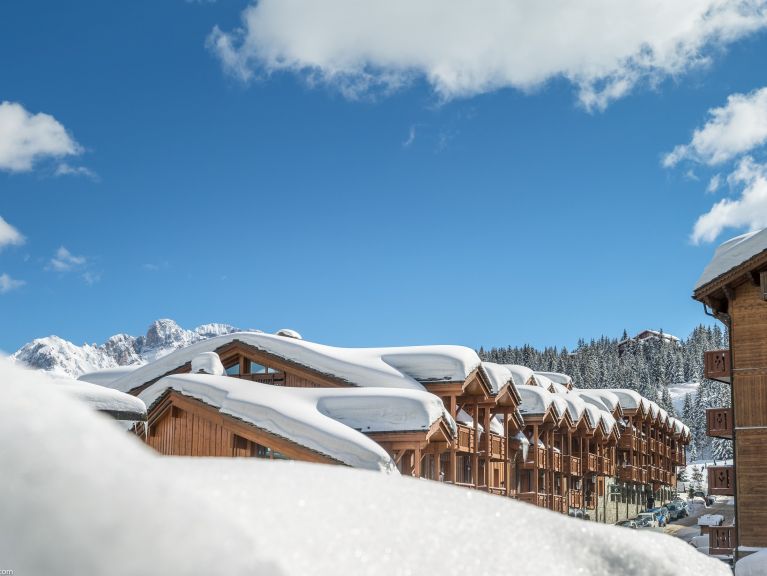Apartment Les Chalets du Forum with cabin