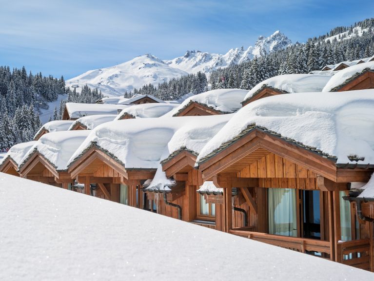 Apartment Les Chalets du Forum with cabin