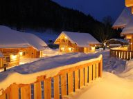 Chalet Almwelt Austria-11