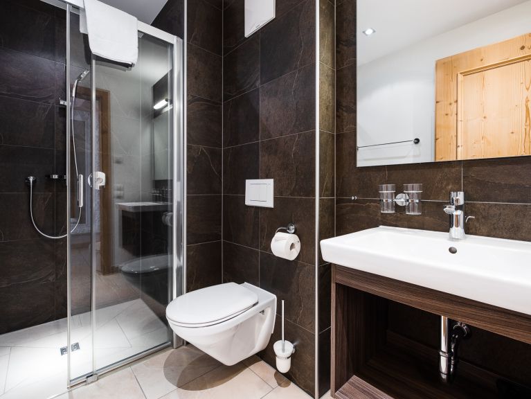 Chalet-apartment Wildkogelresorts Type IVa