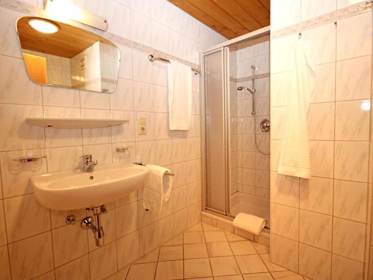 Chalet-apartment Voithofer Top 8