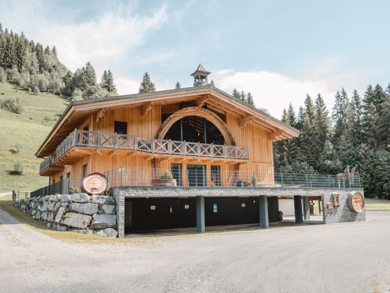 Chalet-apartment Fassl
