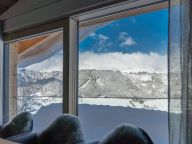 Chalet-apartment Panorama Lodge Penthouse White Gold-35