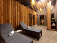 Chalet-apartment Das Neukirchen Penthouse Typ 3b - with private sauna-54