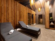 Chalet-apartment Das Neukirchen Type 1a-52