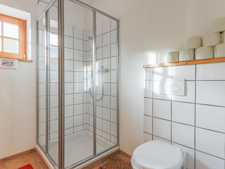 Apartment Salvenblick