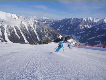 Ski village: Donnersbachwald-1
