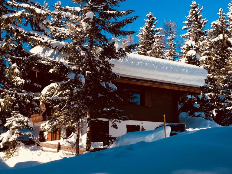 Chalet-apartment Tannenblick Tannenblick